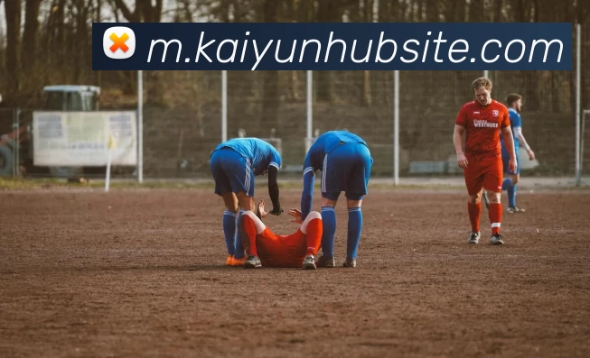 奖项证书